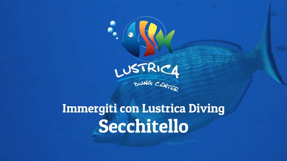 Scopri Secchitello con Lustrica Diving