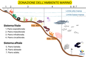 Distribuzione-specie-marine