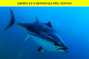 giornata_mondiale_del_tonno_lustrica_diving